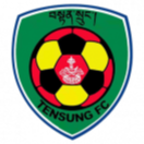 坦桑FC首發陣容